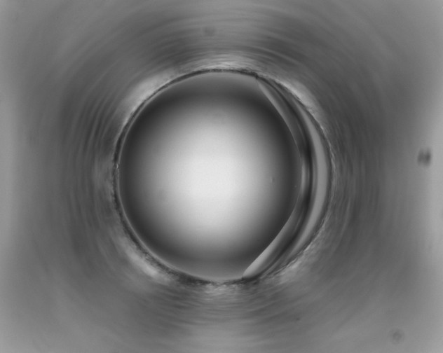 X0000091920850200709051438