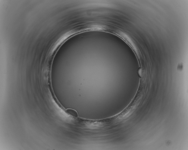 X0000091920851200709051438