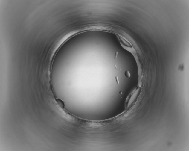 X0000091920852200709051438