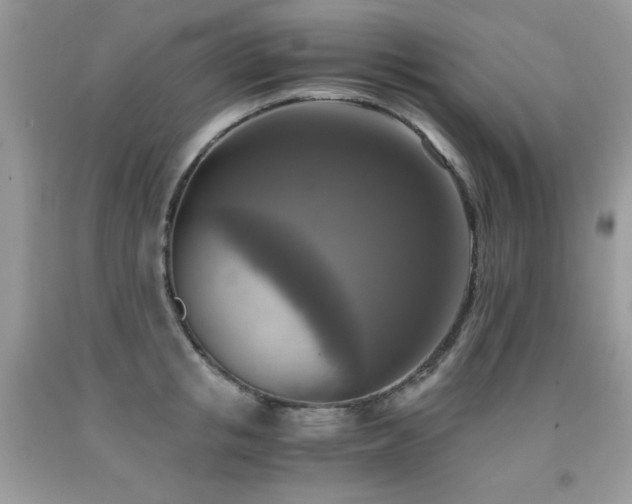 X0000091920853200709051438