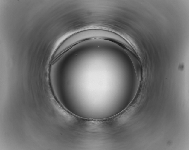 X0000091920854200709051438