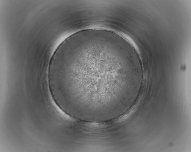 X0000091920855200709051438