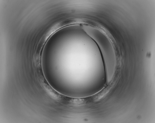 X0000091920858200709051438