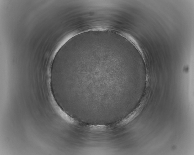 X0000091920859200709051438
