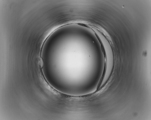 X0000091920860200709051439