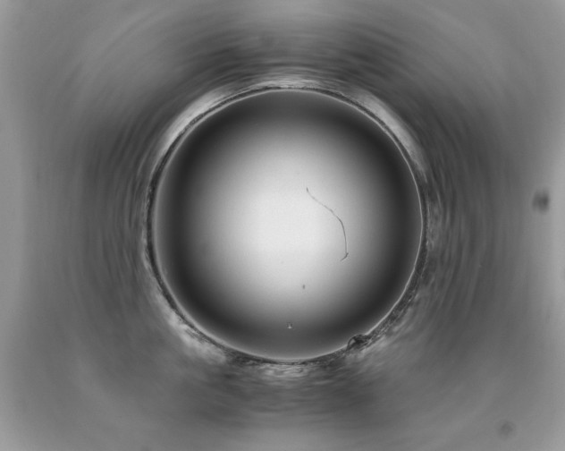 X0000091920861200709051439