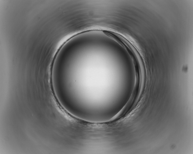 X0000091920862200709051439