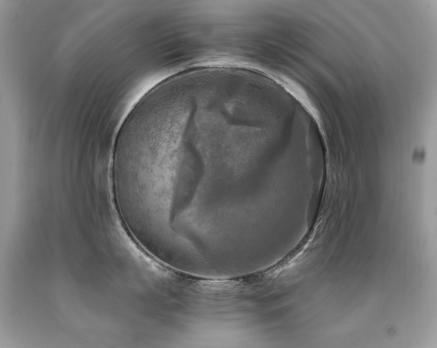 X0000091920863200709051439