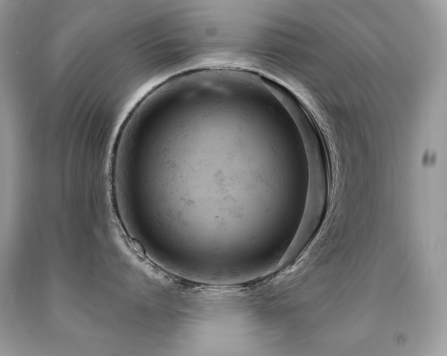 X0000091920864200709051439