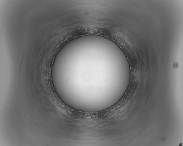 X0000091920865200709051438