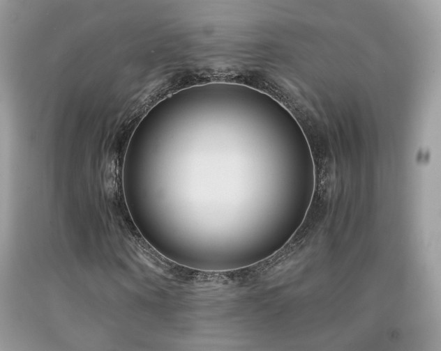 X0000091920866200709051438