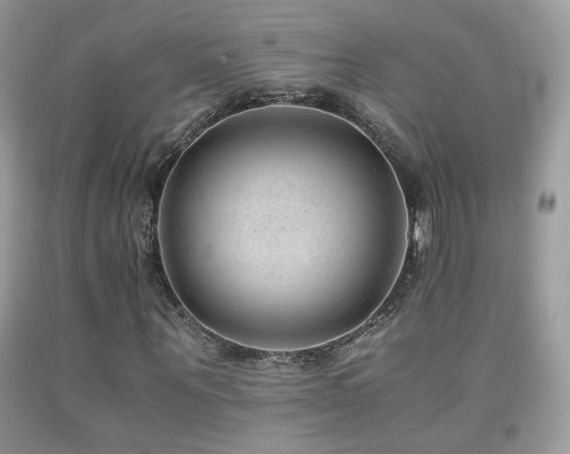 X0000091920867200709051438