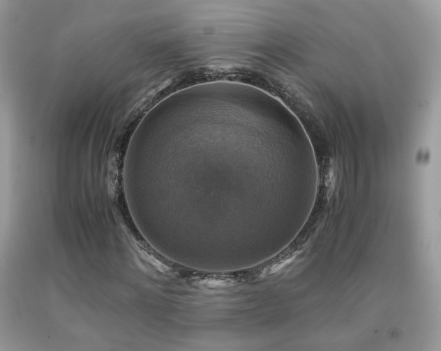 X0000091920868200709051438