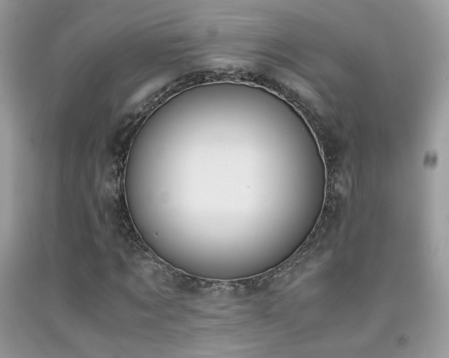 X0000091920869200709051438