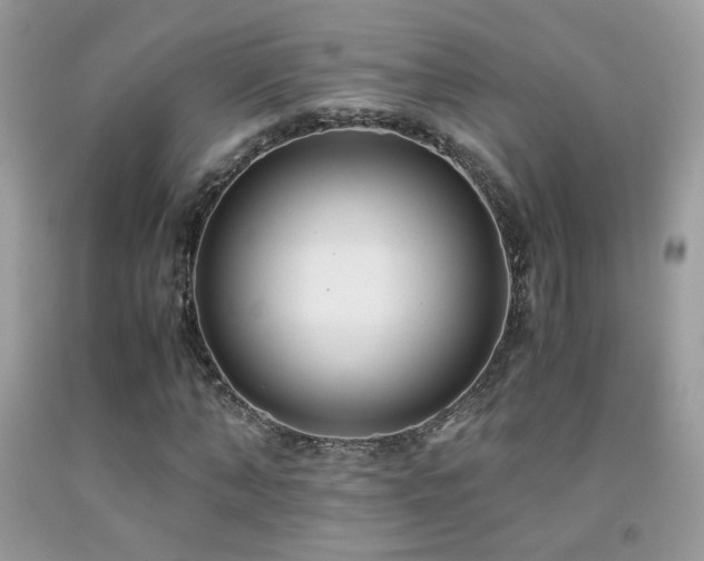 X0000091920870200709051438