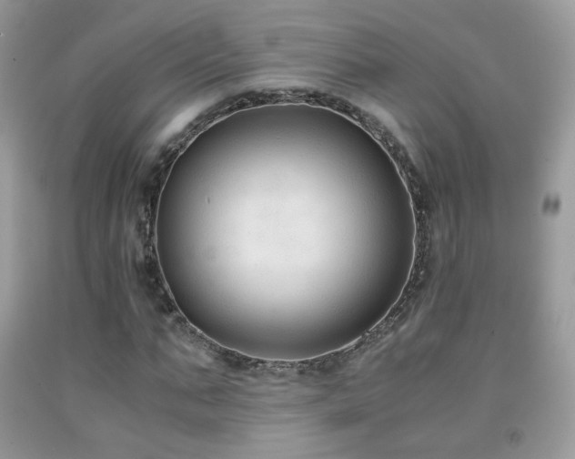 X0000091920871200709051438