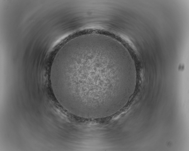 X0000091920872200709051438