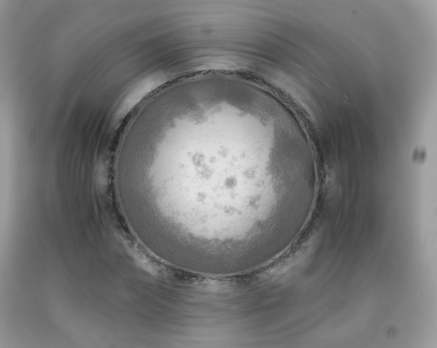 X0000091920874200709051438