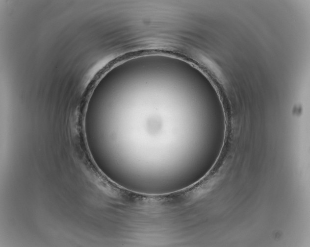 X0000091920875200709051438