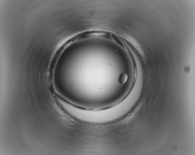X0000091920876200709051438