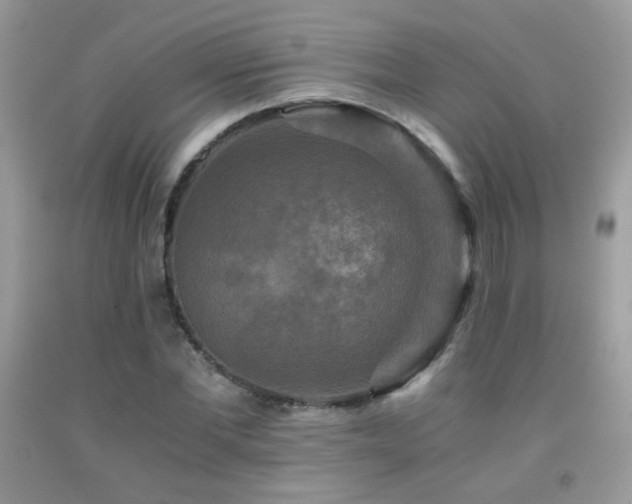 X0000091920877200709051438