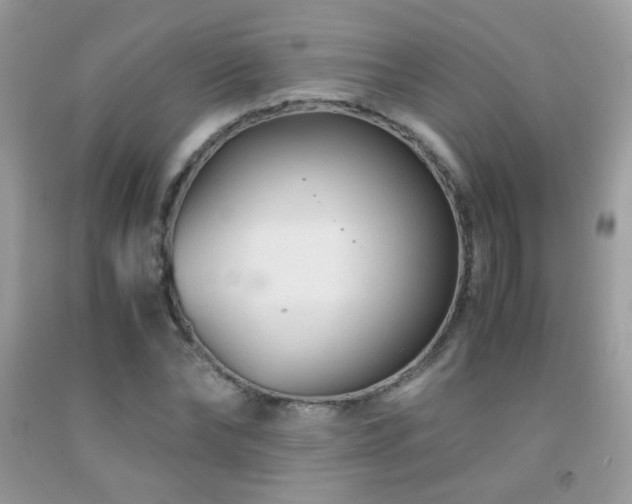 X0000091920878200709051438