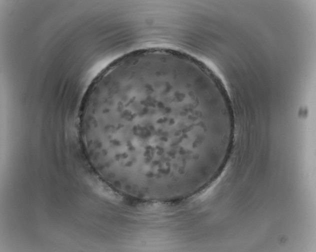 X0000091920879200709051438