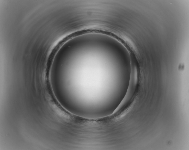 X0000091920880200709051438