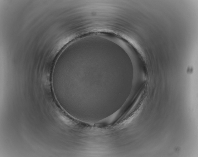 X0000091920881200709051438