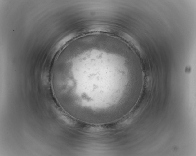 X0000091920882200709051438