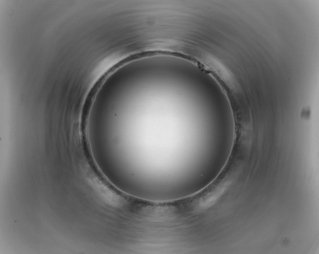 X0000091920884200709051438