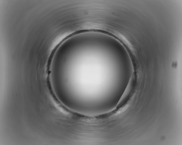 X0000091920885200709051438