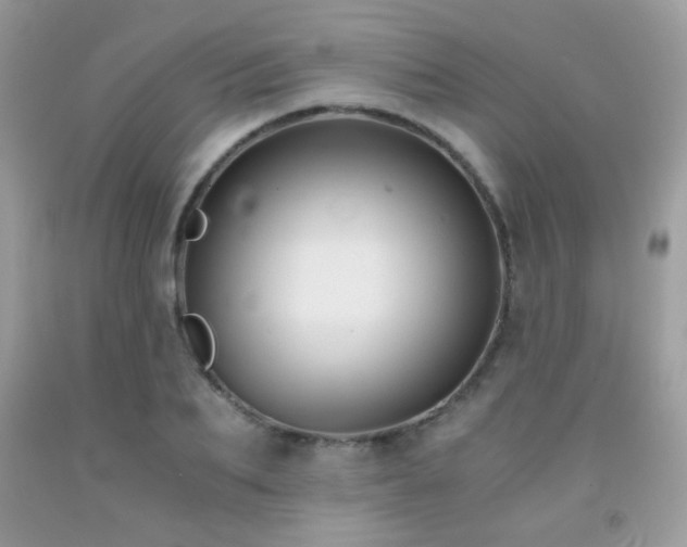 X0000091920887200709051438
