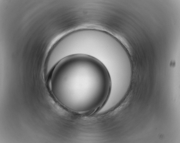 X0000091920888200709051437
