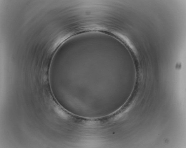 X0000091920889200709051437