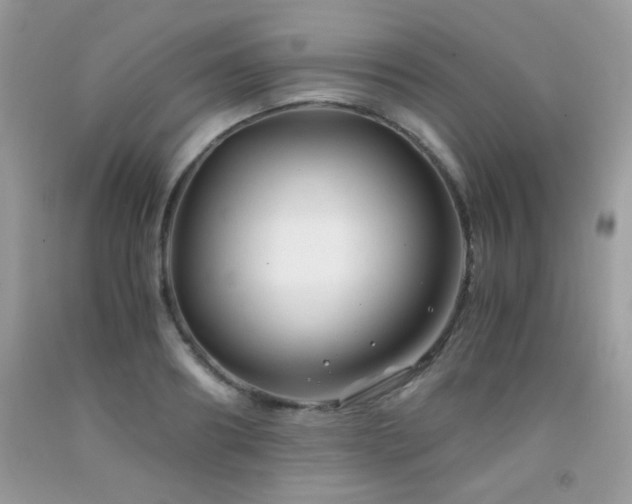 X0000091920890200709051437