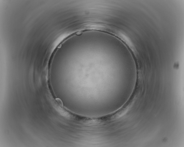 X0000091920891200709051437