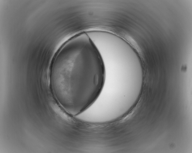 X0000091920892200709051437
