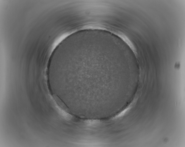X0000091920893200709051437
