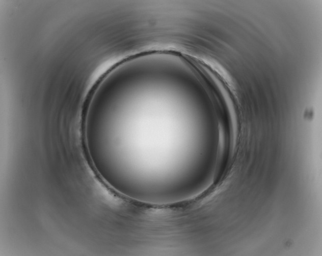 X0000091920894200709051437
