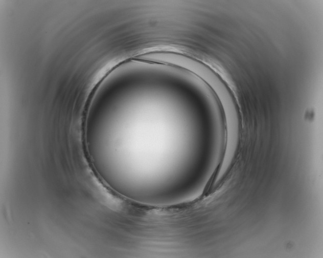 X0000091920898200709051437
