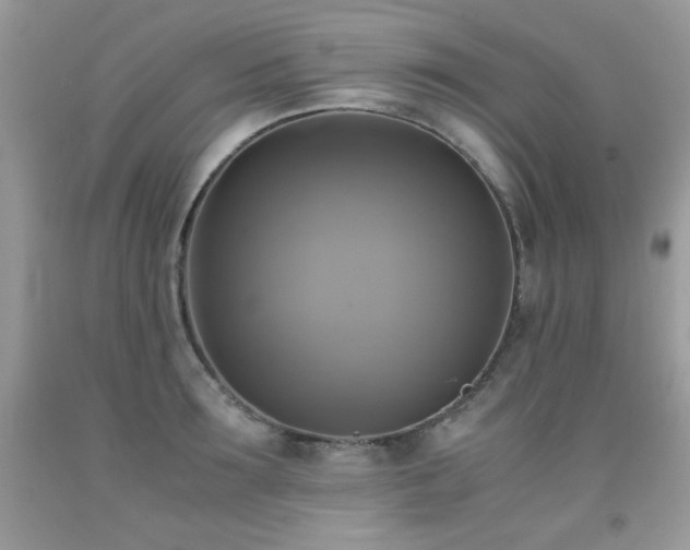 X0000091920899200709051437