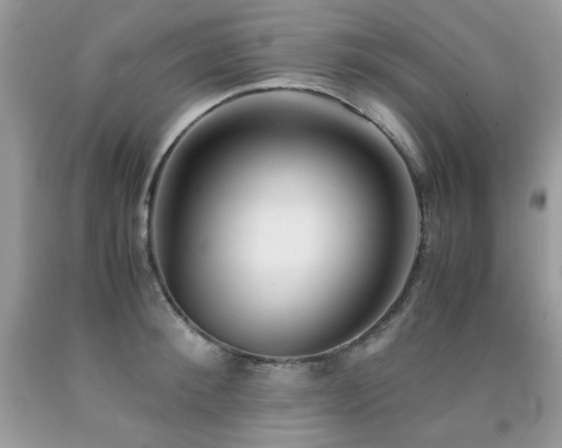 X0000091920900200709051437