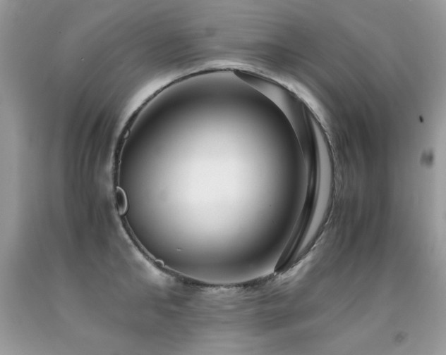 X0000091920902200709051437