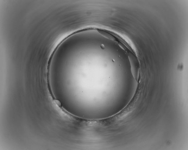 X0000091920903200709051437