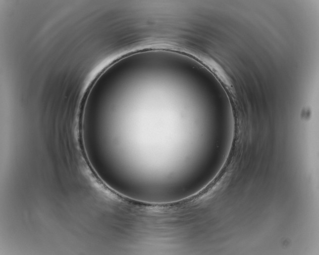 X0000091920904200709051437