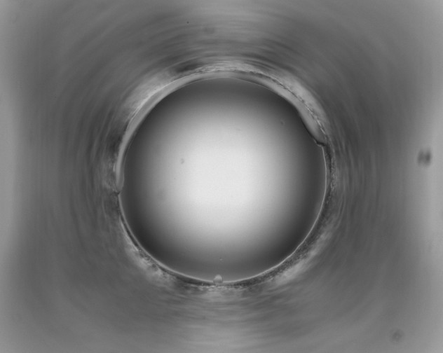 X0000091920905200709051437
