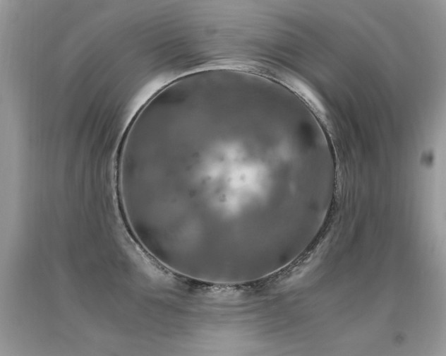 X0000091920907200709051437