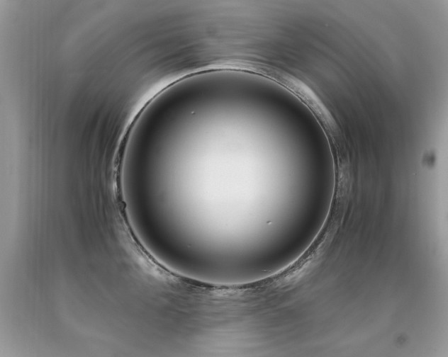 X0000091920908200709051437