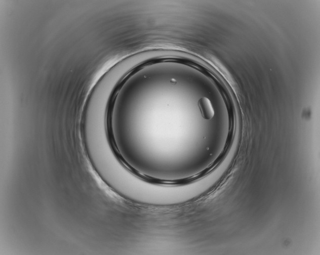 X0000091920909200709051437